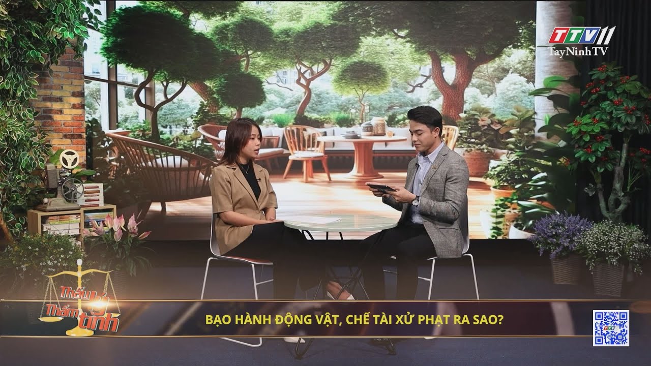 Bạo hành động vật, chế tài xử phạt ra sao? | 07-9-2024 | THẤU LÝ THẤM TÌNH | TayNinhTVArt